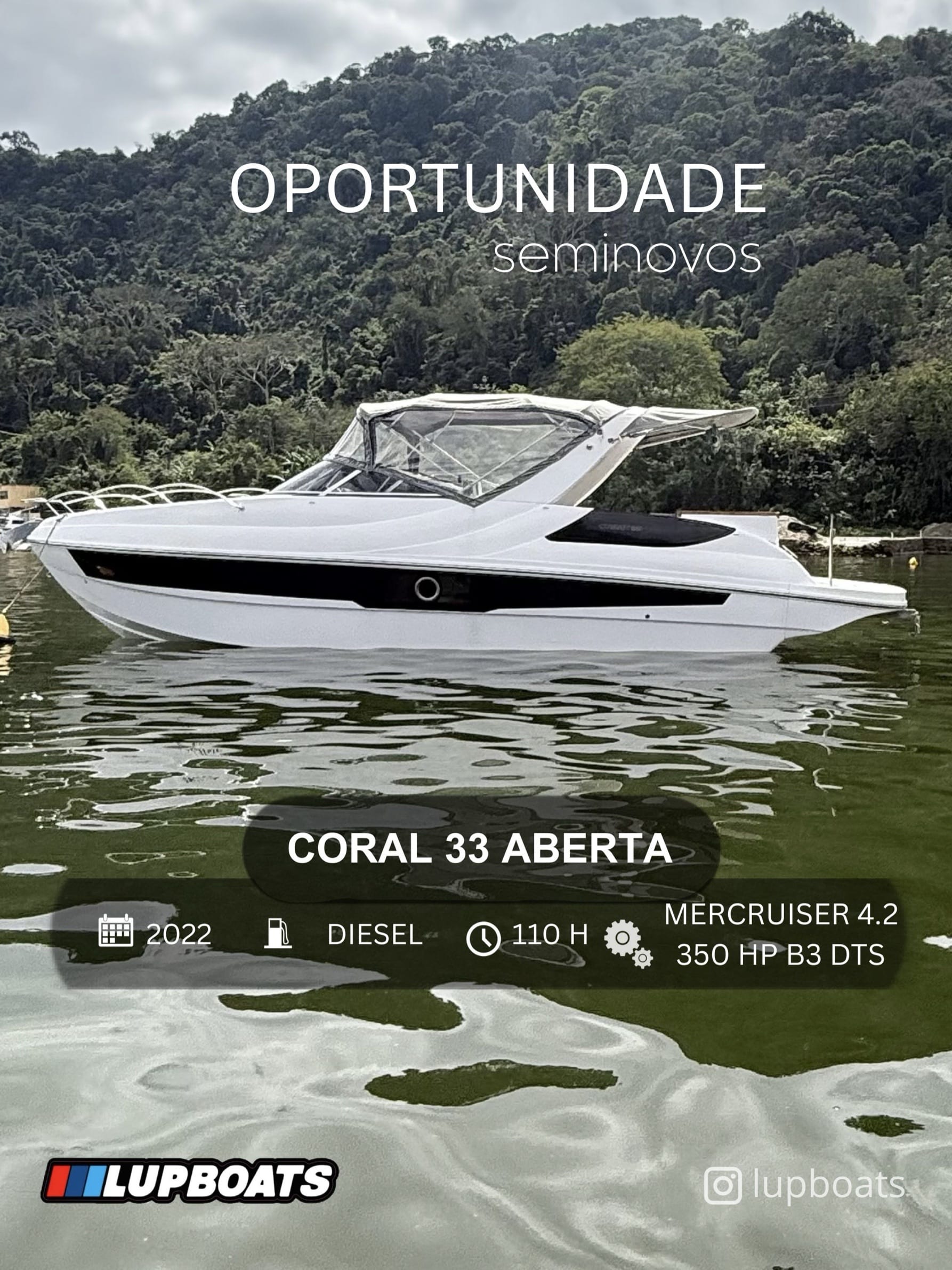 Coral Coral 33 Aberta