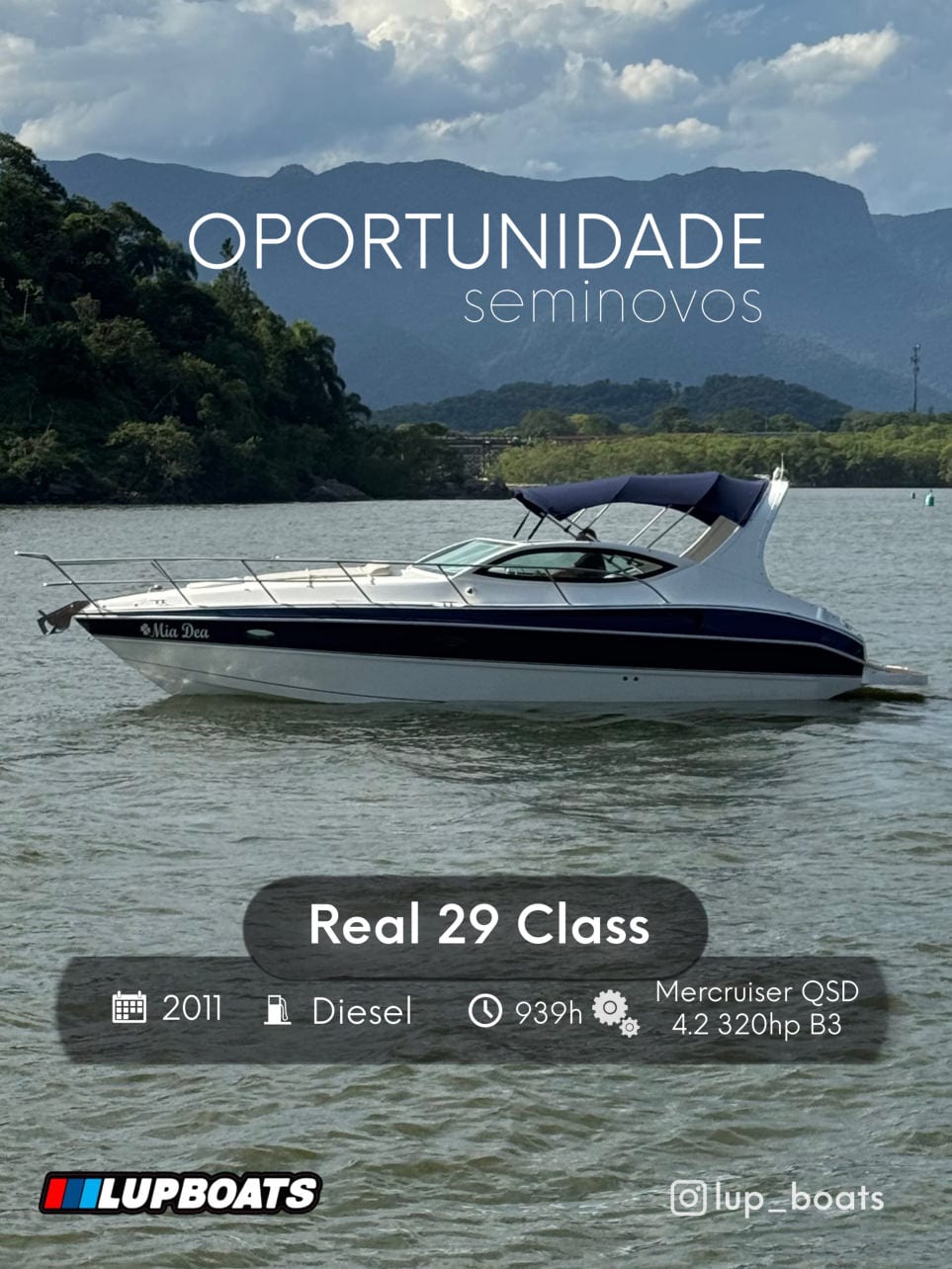 Real Real 29 Class