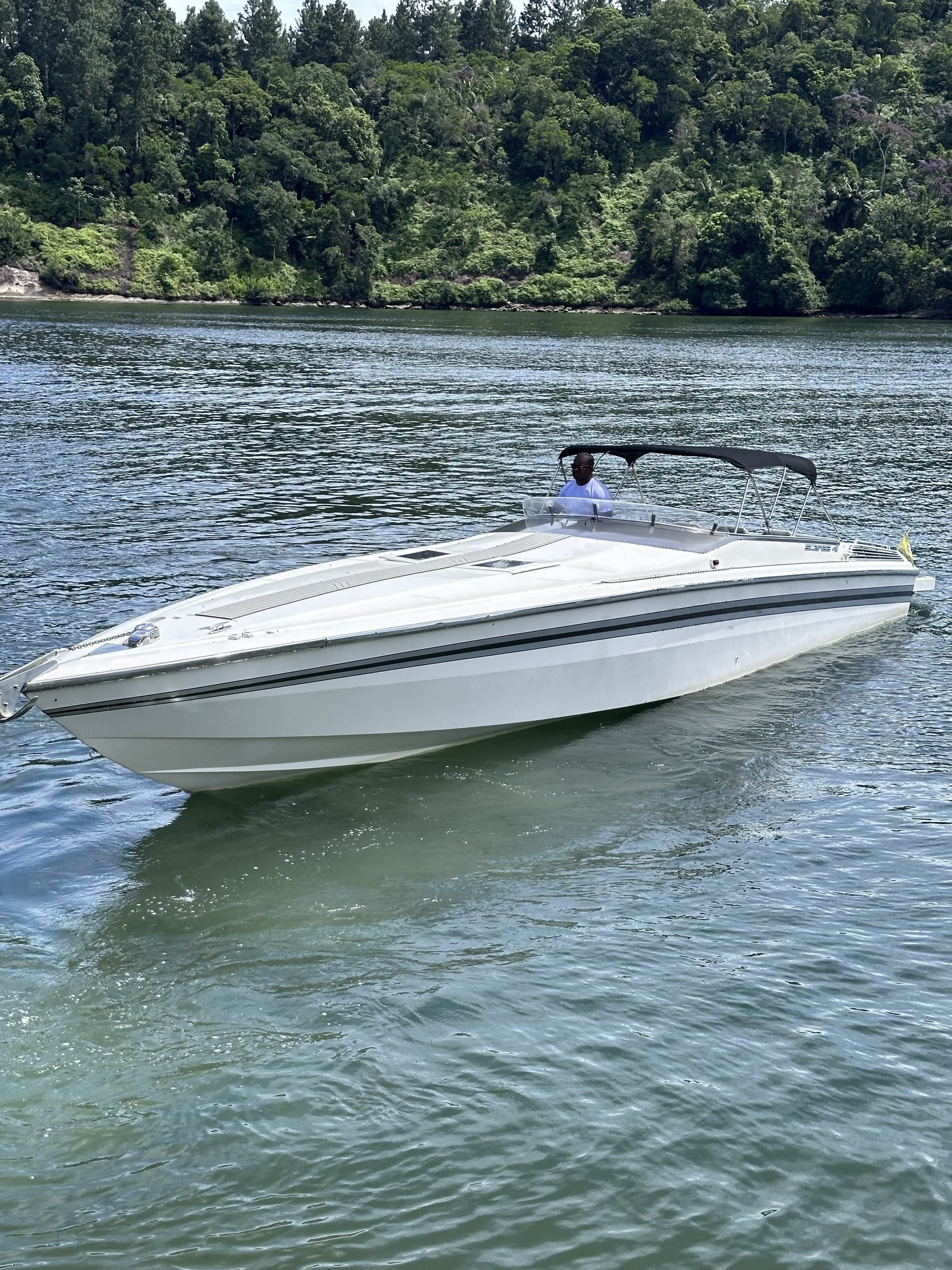 Scarab Scarab 41